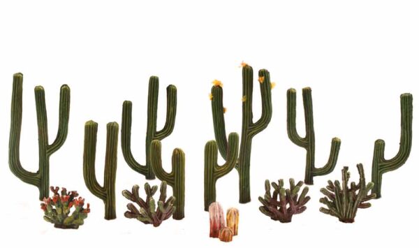 Cactus 1/2' - 2 1/2'